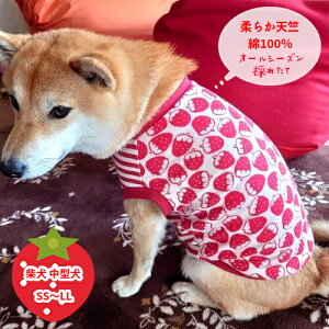 ^ Č r[O  H~  ĕ Î_ς̂D C`S}V}VJbg\[ CX^f  킢 H~ 100  aC VjA ₷ ё΍ \h 