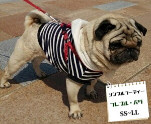 t`uhbO pO Ƀm[RAt[fB[ tu  H~ X p TVc ybg@hbOEGA