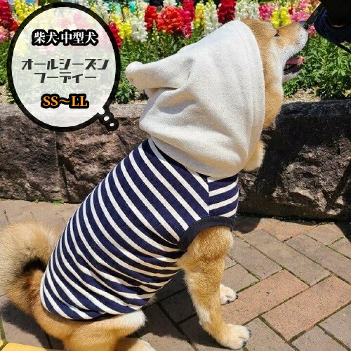 楽天市場】中型犬 サイズ 究極ノームコアフーディー 柴犬 服 春夏 