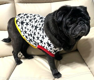  ʋCQ p`ObV VCjOX^[ ^Ngbv TVc t`uhbO  pO @@tu@tā@CX^f@킢@tu@