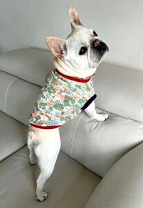 t`uhbO  pO  ̑ X[XTVc CgA[~[  tu t 킢 tu X hbOEGA ̕  