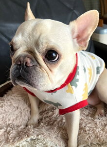 t`uhbO  X̂܂ t@V[VGbg Jbg\[Ȃ  tu t 킢 tu X hbOEGA ̕   H~