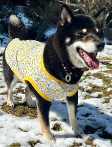 ^ Č r[O  ₩ă Nn N[NX Ђ`ڐG⊴ z TVc Ȃ  t 킢 X hbOEGA ̕   