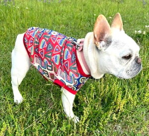 t`uhbO @ڐG⊴ z ėp⊴ AtJW{ N[NX TVc  tu t 킢 tu X hbOEGA ̕  