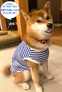  TTG Č  ^  ԃ}{[_[ TVc H~ t Č  ₷ Ђ CX^f  X hbOEGA ̕ ^p ` gCv[h