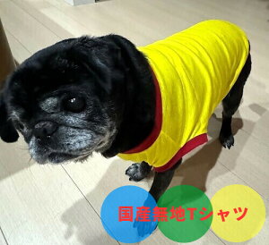 yVvTVc CG[ n pO  t  t`uhbO  @@X