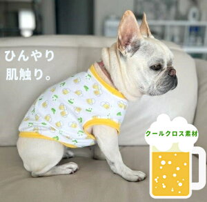 NAXZ[ ^ t`uhbO  ڐG⊴ z ėp⊴ LLɗ₦r[ɂ͎} N[NX TVc  tu t 킢 tu 