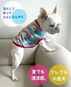 t`uhbO  ^ ڐG⊴ z ėp⊴ V{ʃh[ N[NX TVc  tu t 킢 tu X hbOEGA ̕  