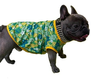 t`uhbO  ڐG⊴ z ėp⊴ O[nCA Xe N[NX TVc  tu t 킢 tu X hbOEGA ̕  