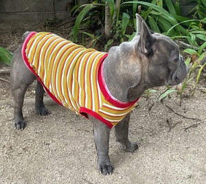 t`uhbO  t IWR[f x{[_[TVc ^  tu H~ 킢 tu X hbOEGA ̕  