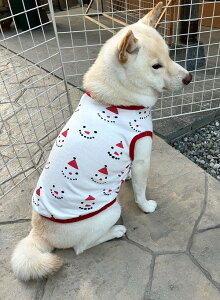 ^ Č  H~ r[O  ͐Snow zCgX[XjbgJbg\[  VjA ₷ ё΍ \h