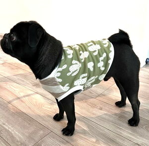 t`uhbO  pO  _VOT{e Jbg\[ H~ hbOEFA ybg Ђ t pO  X ̕ ^p ` gCv[h aC VjA