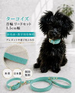 お名前 数字刻印無料 本革 小型犬 中型犬 首輪 リードセット 1.5cm幅リードと首輪カラーレザー ターコイ…