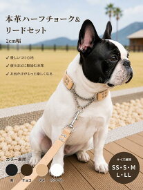 犬 ハーフチョーク 首輪 小型犬 本革 リード ハーフチョーク首輪セット 中型犬 大型犬 おしゃれ かわいい ブランド 名入れ 迷子札 サドルレザー 2cm幅