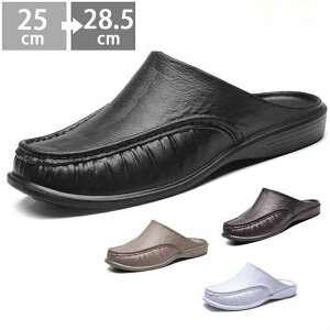 T_ T{ Y T_ amp rWlX ItBX T_ Y Xbp  JWA  RtH[g O ʋ ʊw