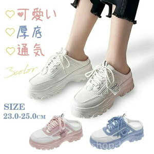 ₷ y Ȃ XN[V[Y ʊw C d ʋ ؍  V[Y  ƂȂ fB[X Xj[J[