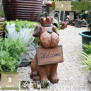 K[fG AeB[N K[f u G IuWF  CeA I[ig K[fIuWF N ʃ}X K[fjO K[fI[ig  킢 }XRbg 