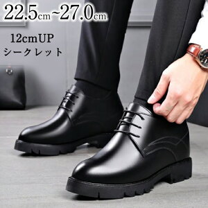 _Vi15OFFN[| 11/4܂Ł^V[NbgV[Y 12cm vC Y  rWlXV[Y g[V[Y wȂC gAbv q[Abv C rWlX amC OH U[ 