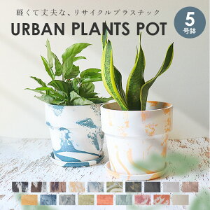 Aؔ vX`bN  5 yV v^[Jo[ 5 v^[ Jo[ A |bg A A[ovc|bg y y ϗtA  󂯎Mt ꌊ PLUS the green  