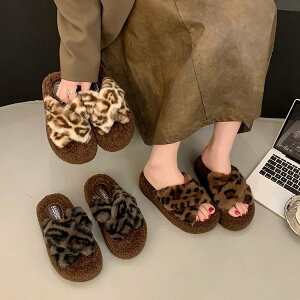 t@[T_  ؍ t@[Xbp Ip[h T_ fB[X  tbgV[Y ₷ ӂӂ [V[Y Ȃ ΍ 킢 H~ C