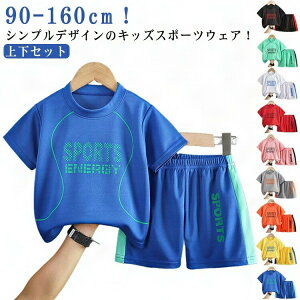 V[gpc LbY X|[cEFA WjA WjA ̎q _X  j̎q z W[W g[jOEFA jOEFA q qǂ c xr[ tVc ^