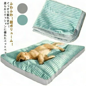 ^ xbh pxbh NbV ybgxbh p Lxbh nEX ybgxbh ^ NbV ybg}bg OJo[ ې Lpxbh lRxbh LnEX ӂ