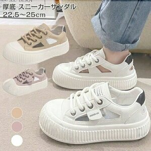  Xj[J[ fB[X  Xj[J[ T_ T_ 5cm [XAbv Xj[J[T_ fB[X X|[cT_ JWAV[Y V[Y  y