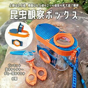 ώ@{bNX ̏WLbg P[X P[W Xgbv Xgbvz_[ XgbvXu 4_Zbg Yt  ώ@  g勾  sZbg ^