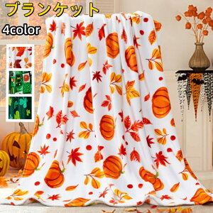 uPbg Ђ| | nEB g n[tPbg ɗD ʋCǂ NX}X ڂ v[g o Lv