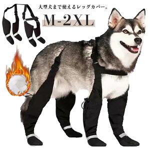  bOJo[ TXy_[ h ^ o O U l{pc h~ Xy_[tppc  ~  ی EȂ ߉\ U ~J pbOJo