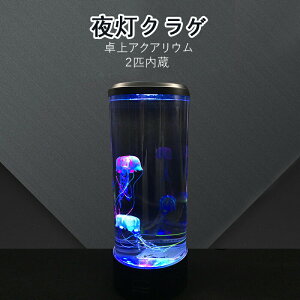 yP2{I44004312~ 11/11܂Łz ANAE LED 铔NQ C~l[V NQ2C VR ANAE   Cv ii X^h^CṽRpNg