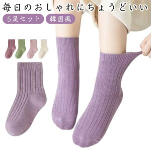 xr[ LbY 5Zbg ̎q C AN\bNX ݃J[ ؍ ct ۈ牀 n ʉ ʊw V[g\bNX Ԃ JWA tH[}  sN p[v