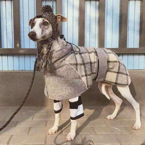 C^O   H~ g h `FbNI[o[R[g ^ ^Ή C^AO[nEhp if yʂŉKȒSn hۉQ̃hbOEFA