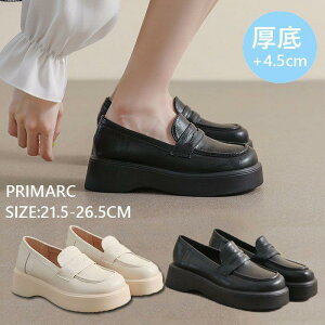 Ǝ ̎q C [t@[ ʊwC w Z WjA ̎q  q[4.5cm [t@[ w q wC ʊwC w JV ̎q 