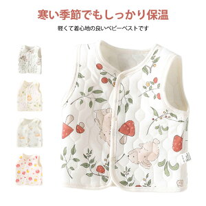 Ԃ xr[ 66 tH oYj H~ K ȃxXg xr[ xXg  V 17FWJ AE^[EFA xr[ _炩f o 킢 ۉQ v[g Mtg x