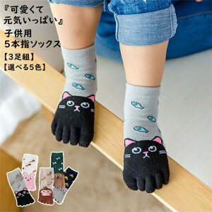 y3gzq C qpܖ{w\bNX LbY V[g\bNX  ܖ{w\bNX 5{w j̎q ̎q X|[c\bNX WjA  g    C ʉ c