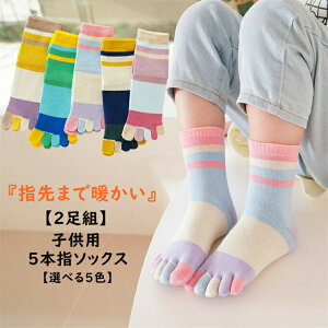 y2gzq C qpܖ{w\bNX LbY V[g\bNX  ܖ{w\bNX 5{w j̎q ̎q X|[c\bNX WjA  g   C ʉ ct 