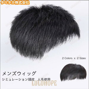 ���� �����Y �E�B�b�O ���R �Z���t���� �l�� �����E�B�b�O �j�� ���ё΍� �J�c�� �V���[�g �G�N�X�e