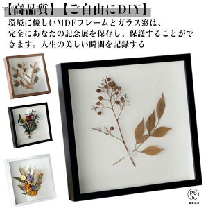 �t�H�g�t���[�� ���� �t�H�g�t���[�� �t�H�g�X�^���h �ؐ� �ʐ^���� �ʐ^���� �z�� �F�� ���̊z �{�b�N�X�t���[�� DIY ���j�� �����j�� �ސE