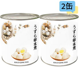 うずらの卵水煮 うずら 缶詰 2号缶×【2個】中国産 中華料理 八宝菜 中華丼 焼き鳥 学園祭 お祭り 業務用サイズ 業務用食品 業務用 プロ仕様 お買得サイズ ラーメン サラダ トッピング