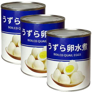 ������̗����� ������ �ʋl 2����×�y3�z�����Y ���ؗ��� ����� ���ؘ� �Ă��� �w���� ���Ղ� �Ɩ��p�T�C�Y �Ɩ��p�H�i �Ɩ��p �v���d�l �������T�C�Y ���[���� �T���_ �g�b�s���O