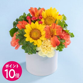 父の日 アレンジメント「サンクスファーザー」 日比谷花壇