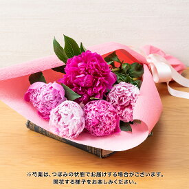 母の日 花束「芍薬(カラーミックス5本)」ピンク 日比谷花壇