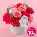 【母の日早期特典】4月13日 9時59分までポイント10倍！母の日 NozomiYuasa× アレンジメント「シェールママン・ロゼ」 日比谷花壇 2026 母の日 花 フラワーギフト 50代 60代 70代 母の日ギフト 和風 アレンジ 生花 期間限定 プレゼント 送料無料 母の日カード付き