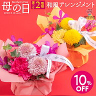 【母の日超早割】4月1日9時59分までの限定価格 4,950円、以降5,500円！母の日 2色から選べる 和風 アレン…