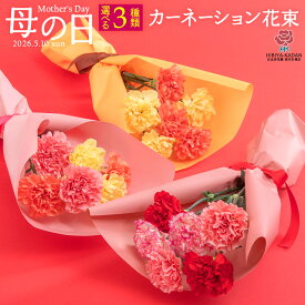母の日 3色から選べるカーネーション 花束 日比谷花壇【モール限定】2026 母の日 花 フラワーギフト 50代 60代 70代 母の日ギフト 花束 ブーケ アレンジ 生花 期間限定 プレゼント 送料無料 2026年新作 カーネーション