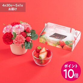 母の日早期特典ポイント10倍中！母の日 いちご「古都華」2パックと赤ピンク系アレンジメントのセット 日比谷花壇 【モール限定】2026 母の日 花 ギフト フルーツ 50代 60代 70代 フルーツセット プレゼント 義母 母の日カード付き 送料無料