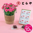 【母の日早期特典】4月24日 9時59分までポイント10倍！母の日 とらや「母の日水羊羹6個入」とカーネーション鉢(ピンク系)のセット 日比谷花壇 2026 母の日 花 ギフト スイーツ 50代 60代 70代 スイーツセット 和菓子 プレゼント 義母 母の日カード付き 送料無料