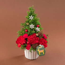 クリスマス アレンジメント「サパンドノエル」 ツリー型 日比谷花壇 クリスマスプレゼント クリスマスギフト 花 クリスマス飾り クリスマス インテリア クリスマスツリー お祝い 花束 プレゼント 結婚記念日 開店祝い