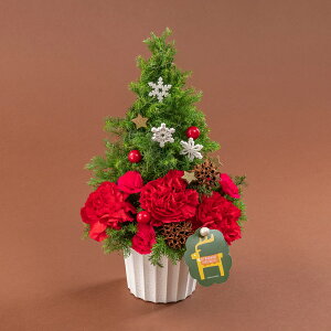 NX}X AWguTphmGv c[^ JԒd